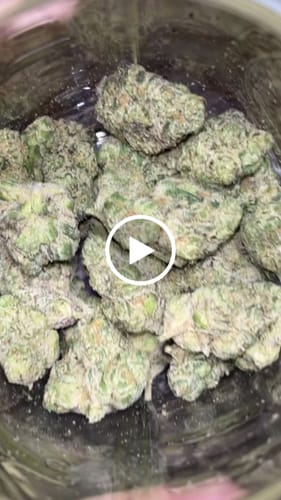 Customer video review of Rock Candy - Indoor Exotic THCA (Full Size)