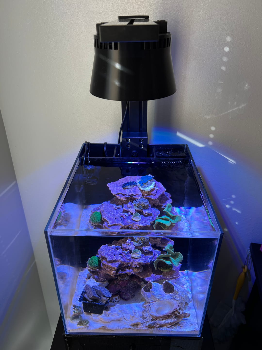Customer photo review of Pixel LED Bundles