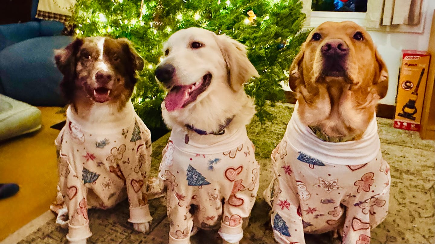 Customer photo review of Christmas Human Pajama Pants