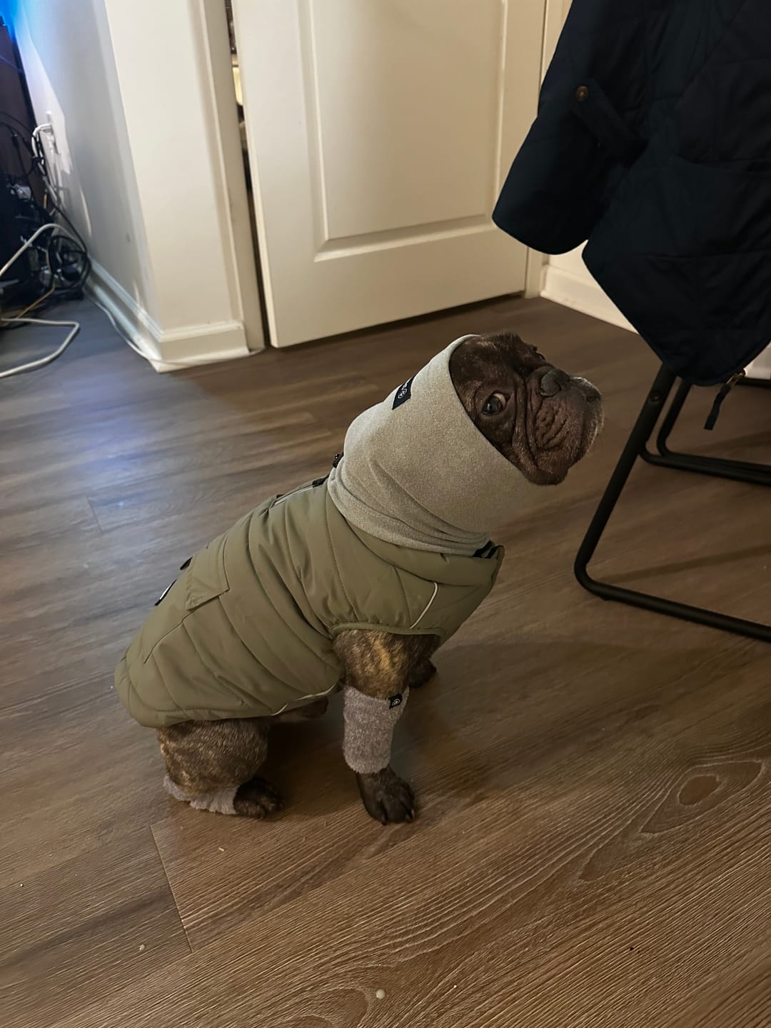 Customer photo review of Leg Warmer and Earmuff Protector Set - Grey