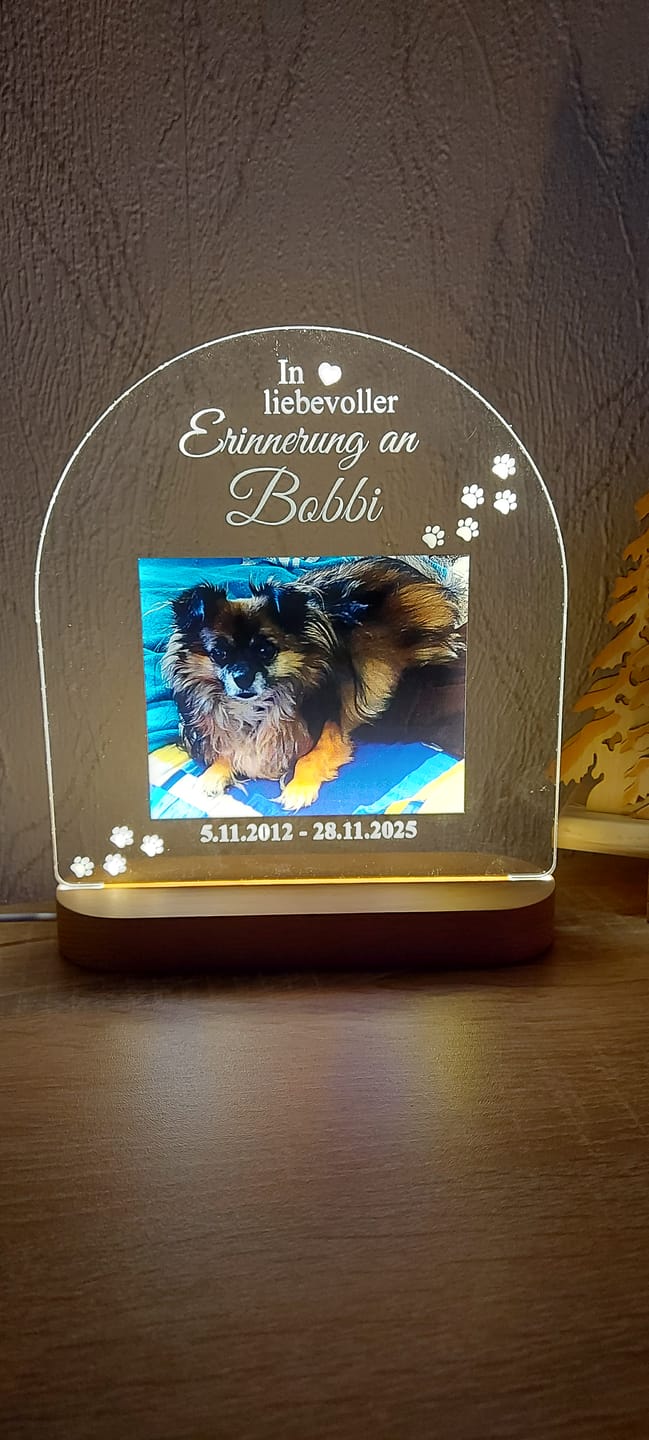 Customer photo review of Zur liebevollen Erinnerung – LED-Lampe für Hund/Katze