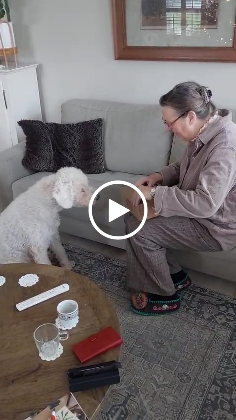 Customer video review of Frisse bekkies kauwstaafjes | Kauwstaaf