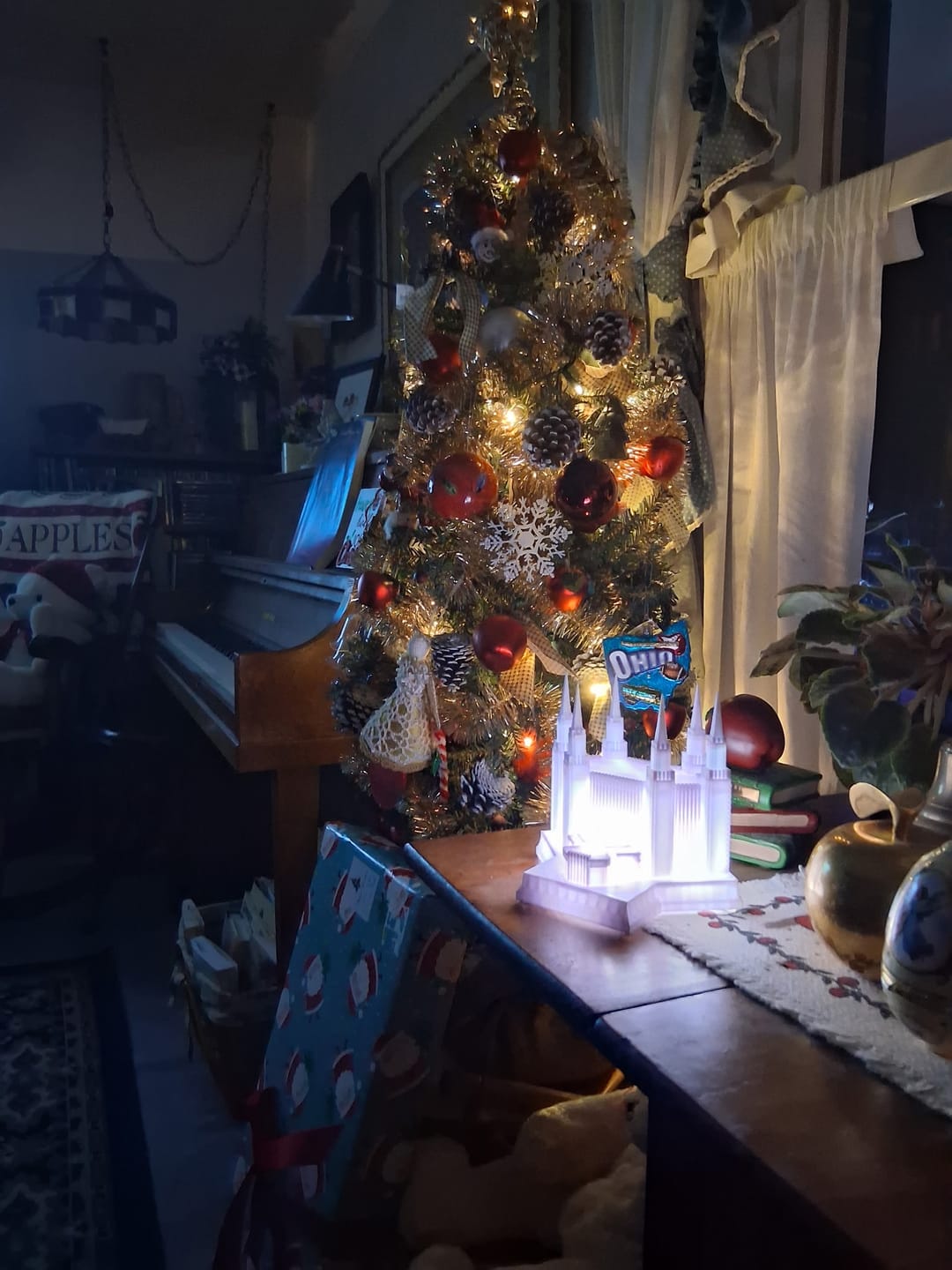 Customer photo review of Washington DC Temple Music Light