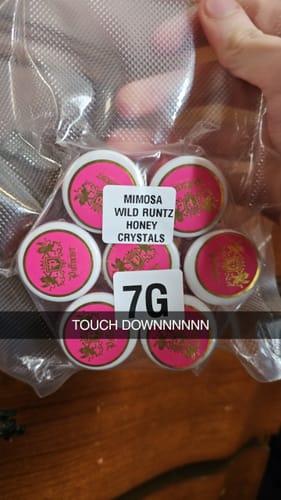 Customer photo review of Mimosa Wild Runtz Honey Crystal