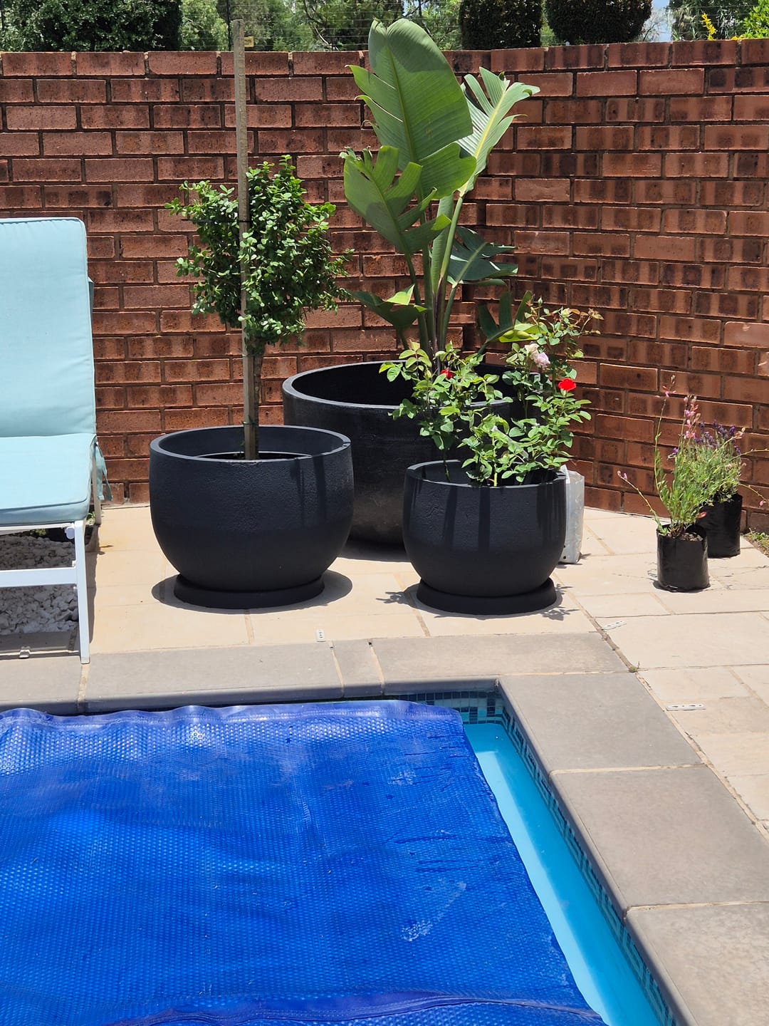 Customer photo review of Rustic Round Japi Planter (click for details)