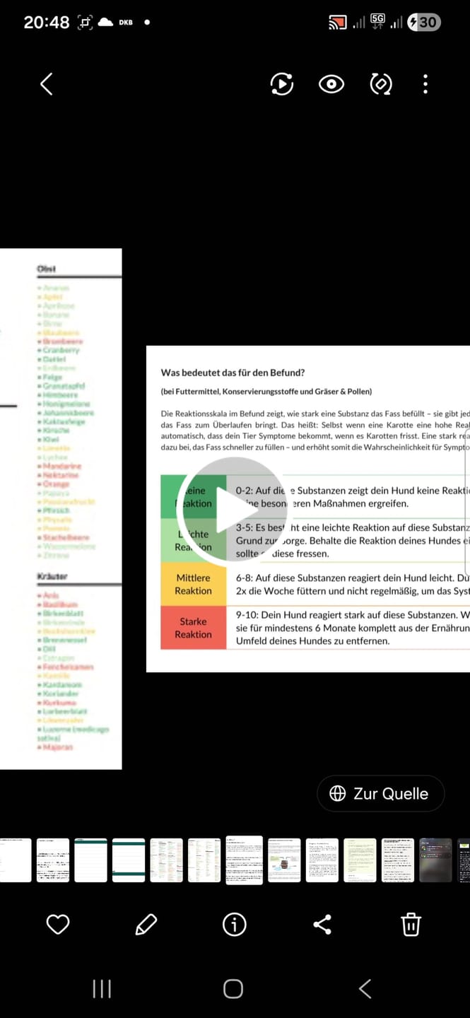 Customer video review of Allergietest Plus Hund