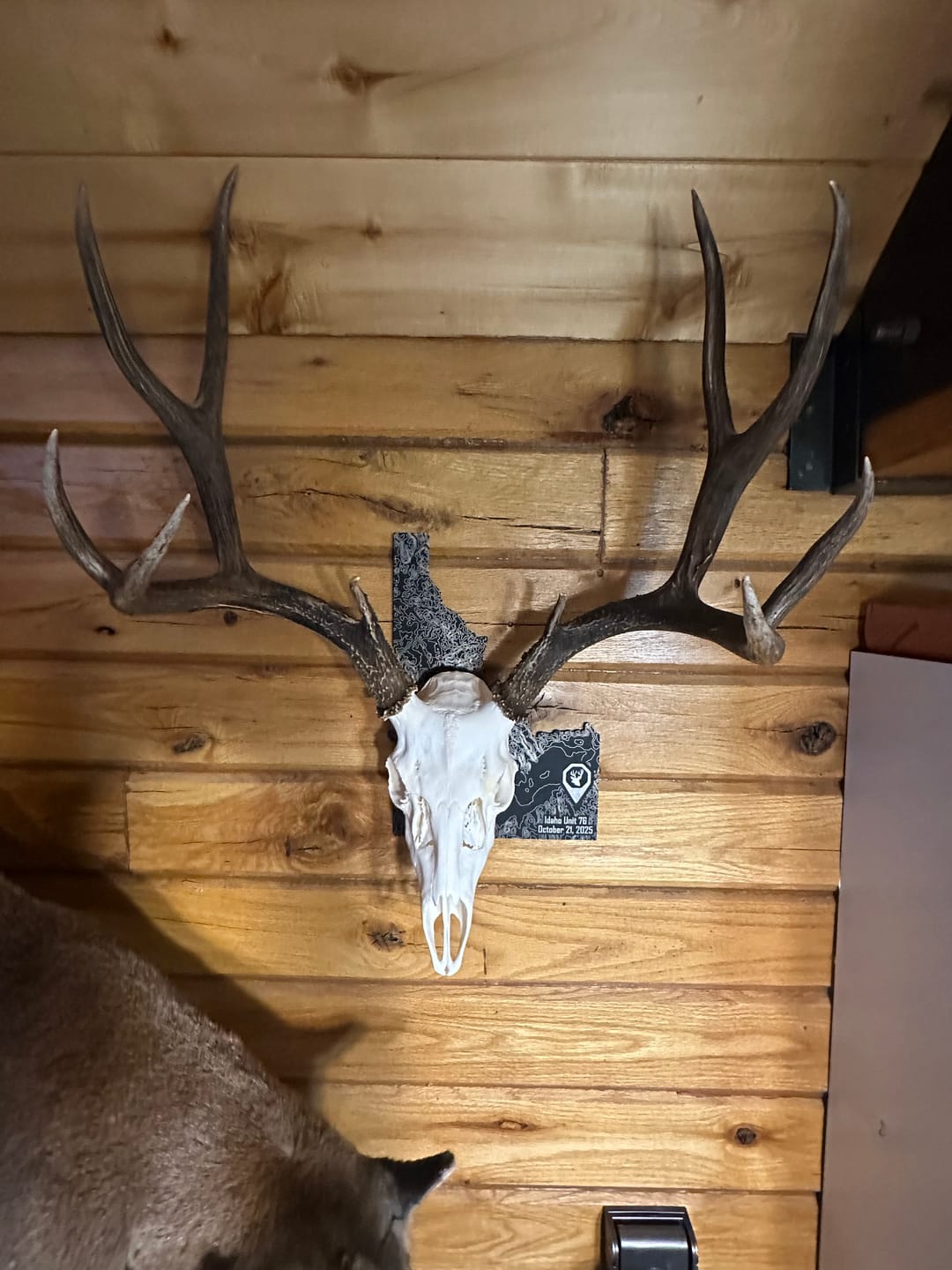 Customer photo review of Medium Game Plaques