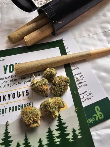 Customer photo review of Blue Dream