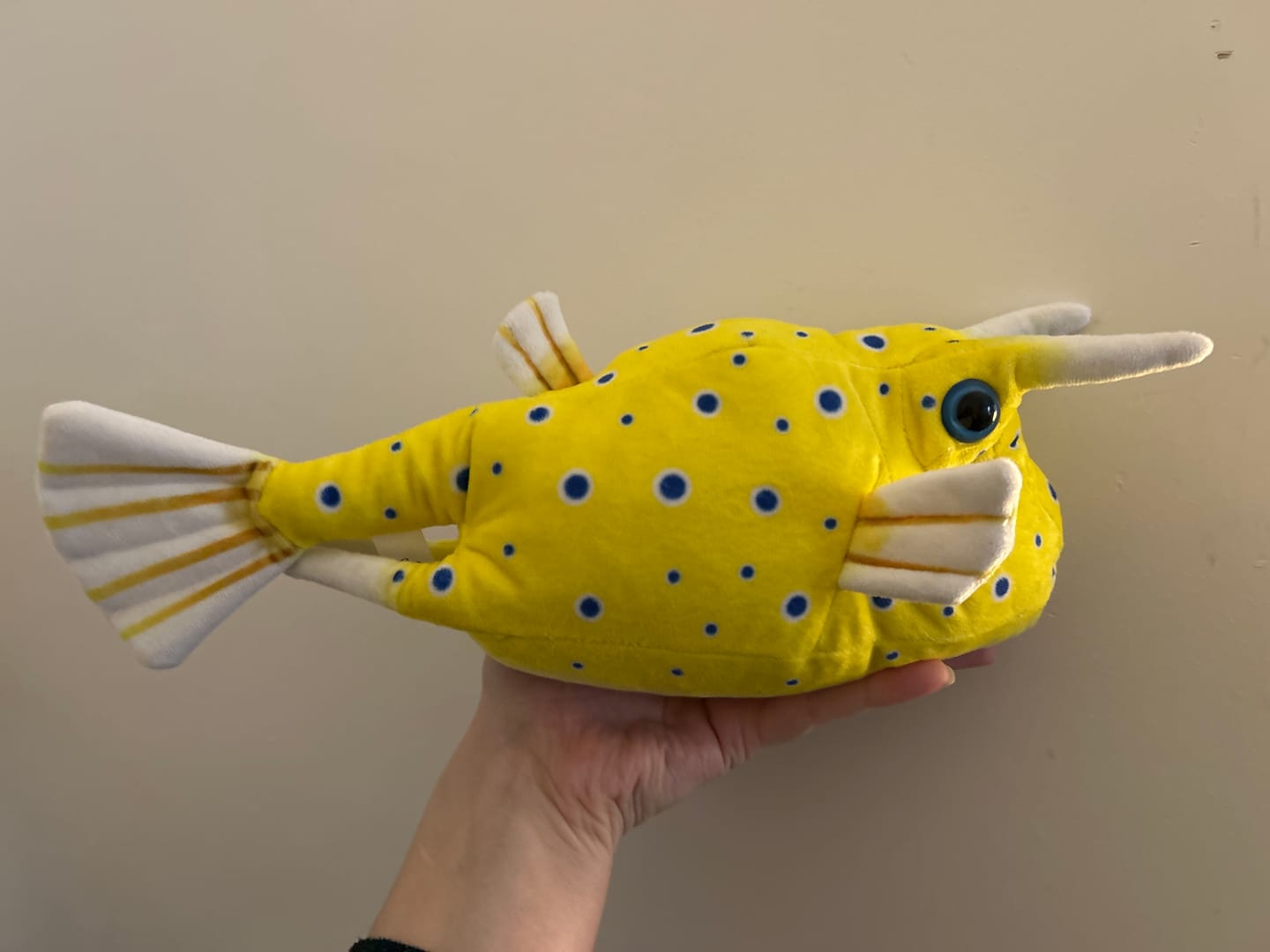 Customer photo review of Longhorn Cowfish Soft Stuffed Plush Toy