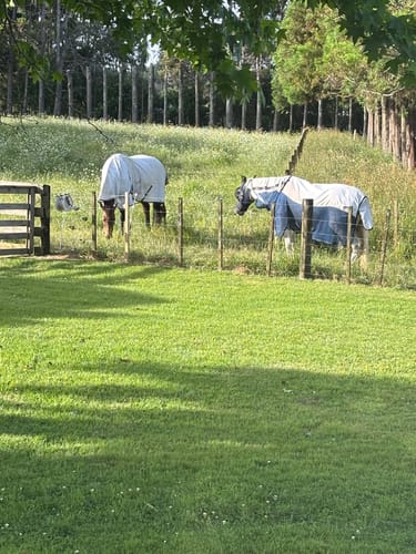 Customer photo review of Amigo Helix Airflow Disc Front