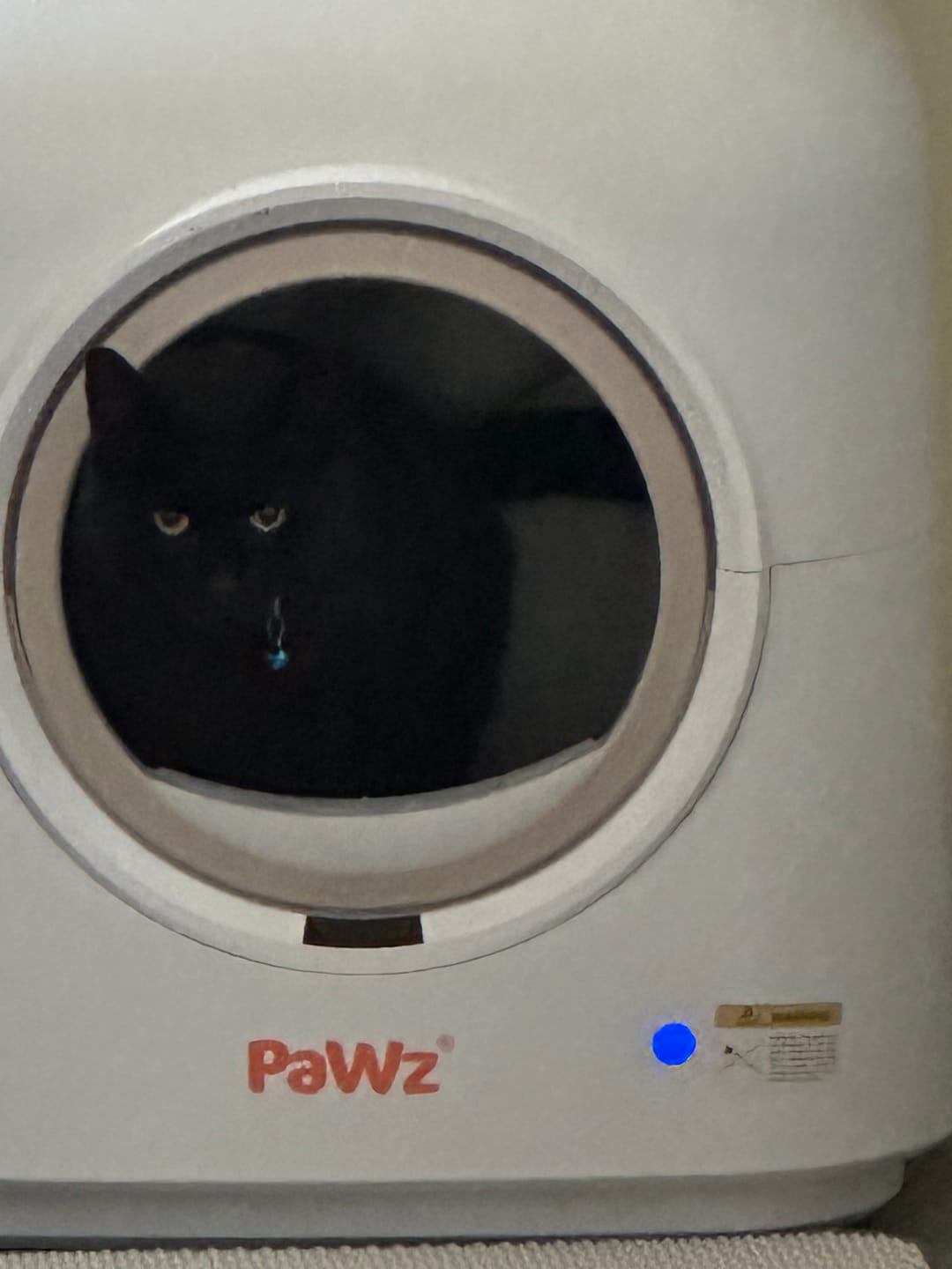 Customer photo review of AutoClean Pro Automatic Self Cleaning Cat Litter Box