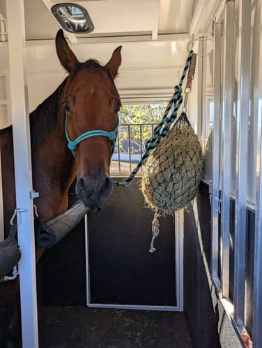 Customer photo review of Hay Chix® Quarter Bale Net