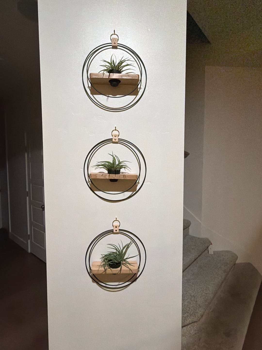 Customer photo review of Air Plant Shelf + Pot Trio