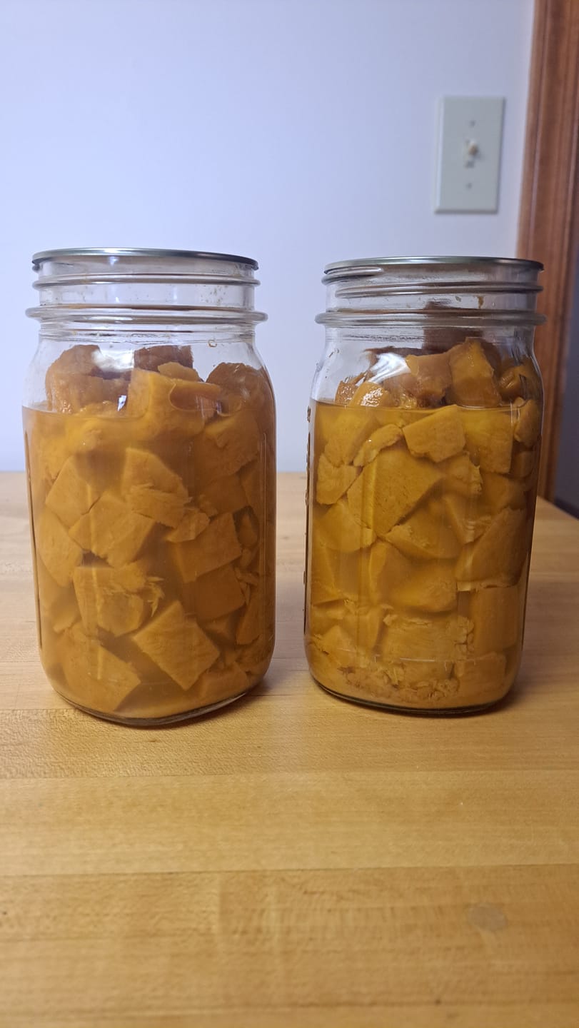 Customer photo review of Bulk Wide Mouth Canning Lids - 60 Pack