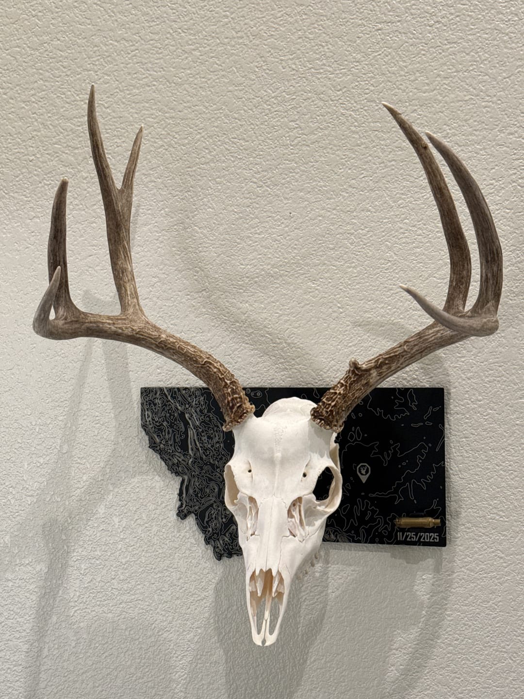 Customer photo review of Arrow/Bullet Clip