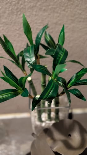 Customer photo review of Bulk Artificial Botanicals Bamboo Stems Lucky Bamboo Plant Drop-In Plant Wholesale