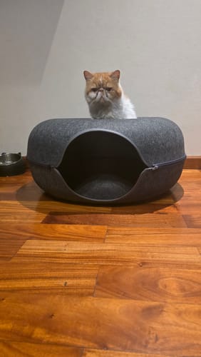 Customer photo review of Cueva Dona