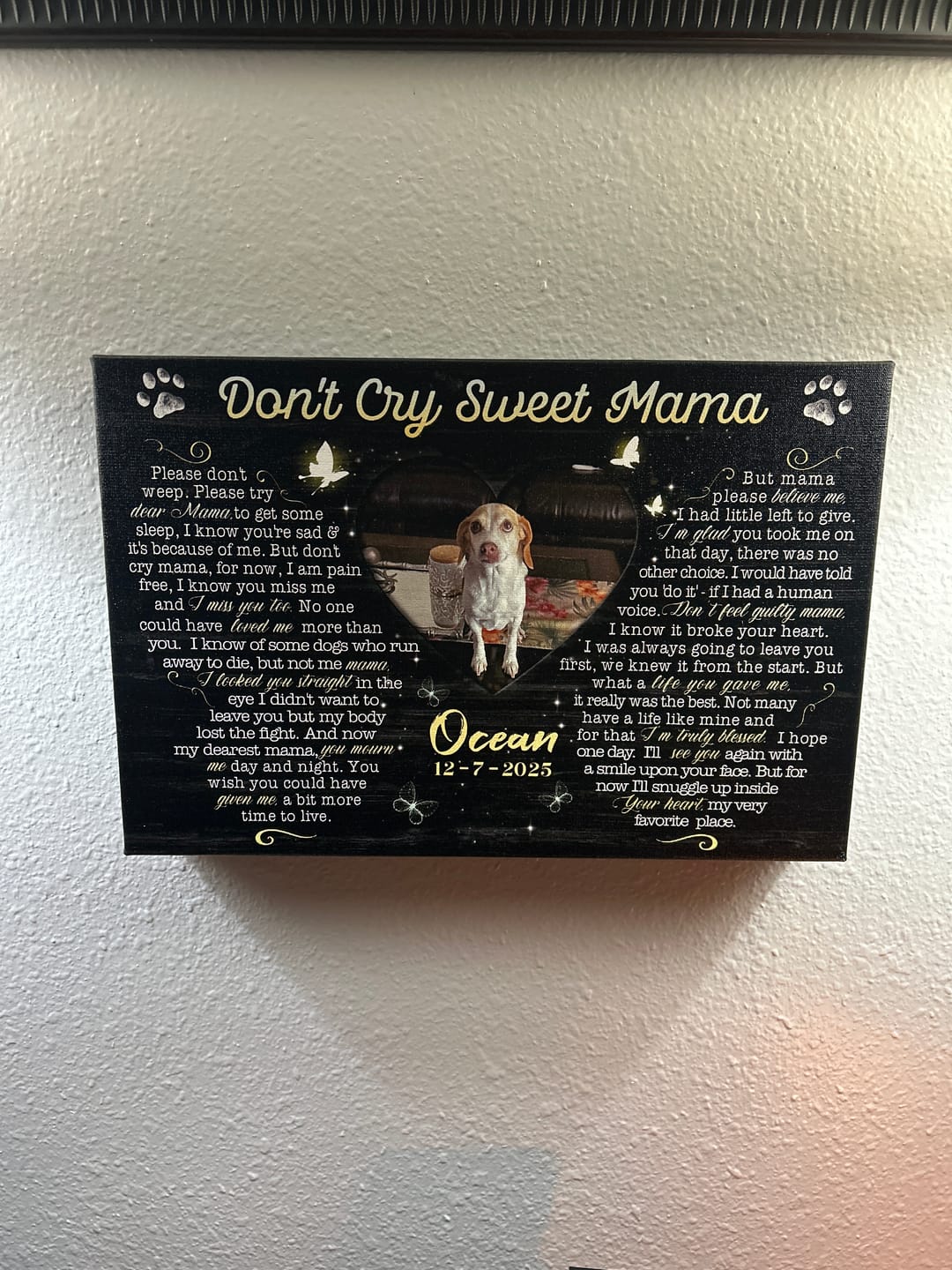 Customer photo review of Personalized Canvas Prints, Custom Photo, Sympathy Gifts, Dog Gifts, Memorial Gifts, Don't Cry Sweet Mama Dem Canvas