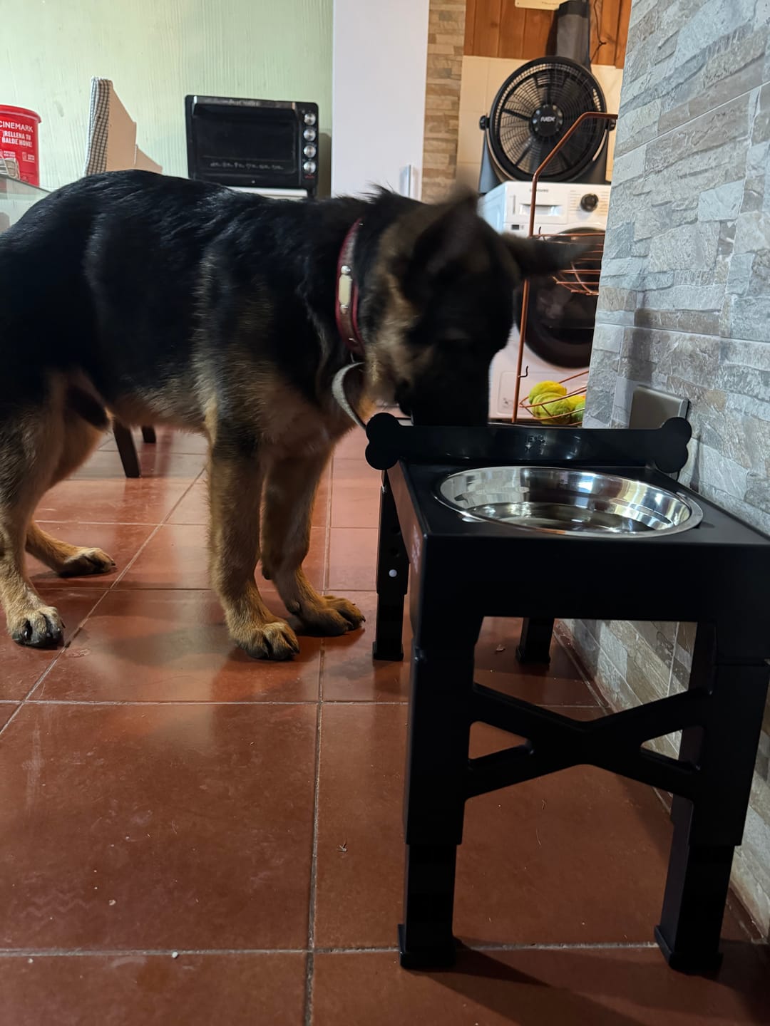 Customer photo review of Comedero Elevado THE DOGS Postura correcta en cada comida