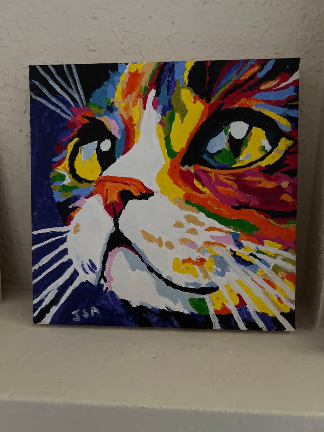 Customer photo review of Mini Paint by Number with Frame - Colorful Cat