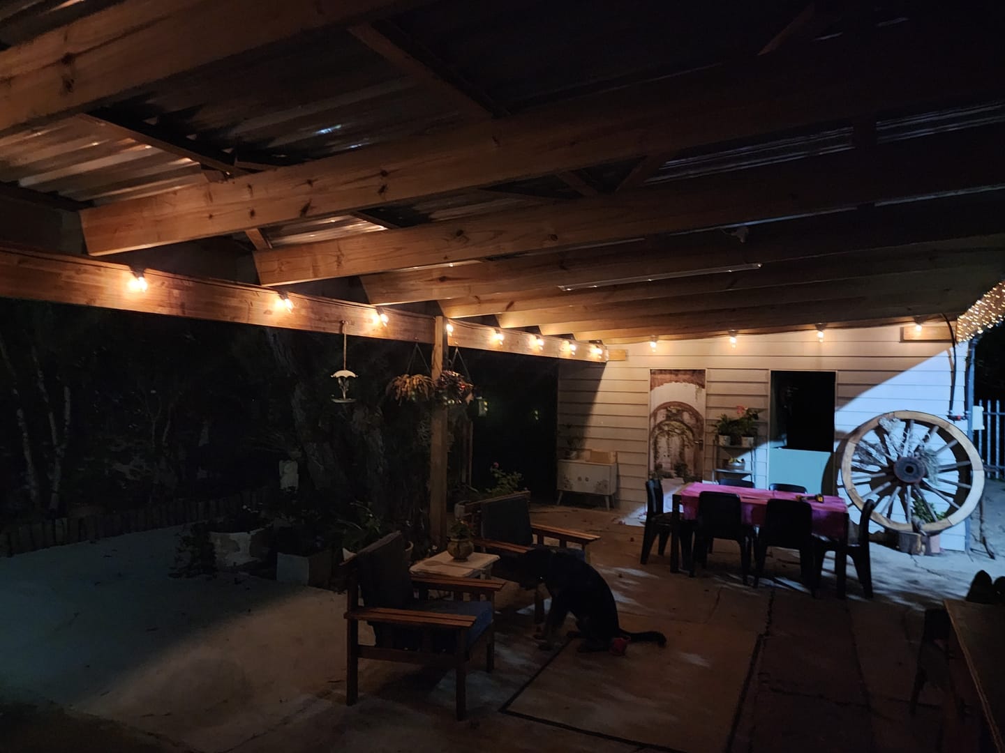 Customer photo review of Solar Festoon Bulb String Lights