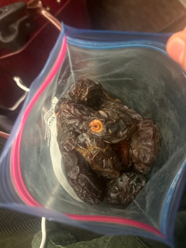 Customer photo review of 5kg Palestinian Medjool Dates 🇵🇸