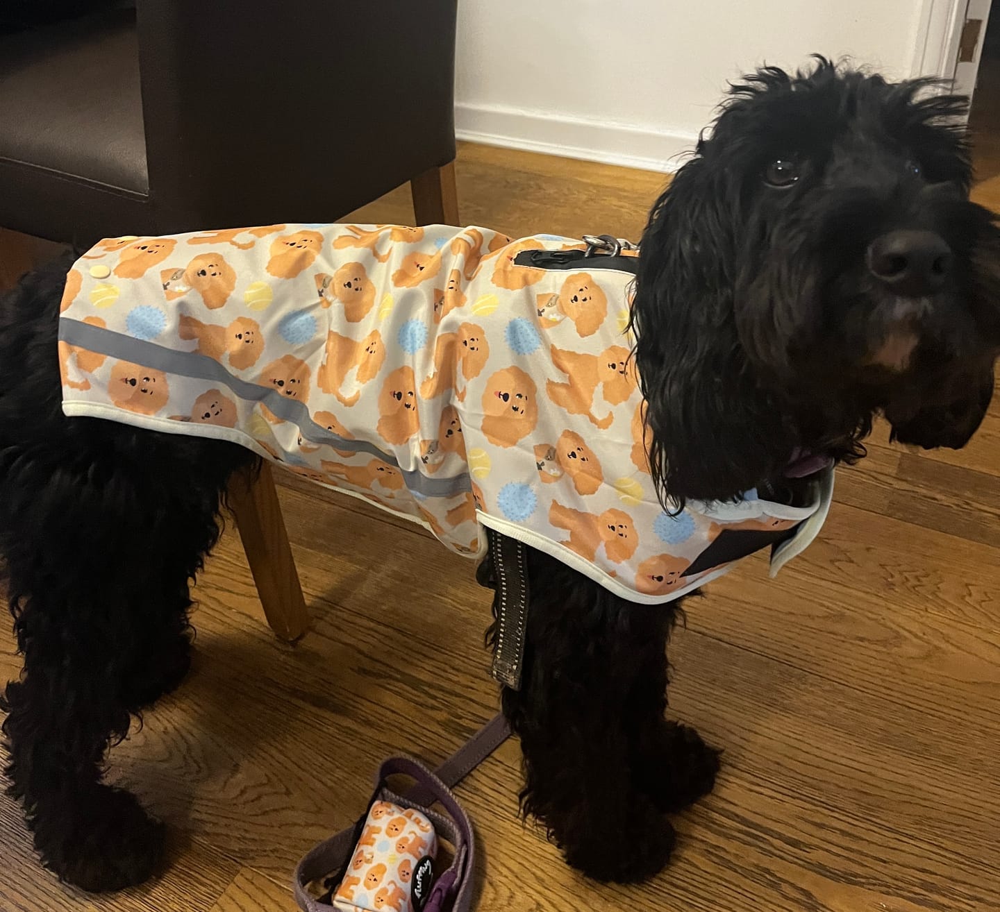 Customer photo review of Rain Jacket - Curly Club