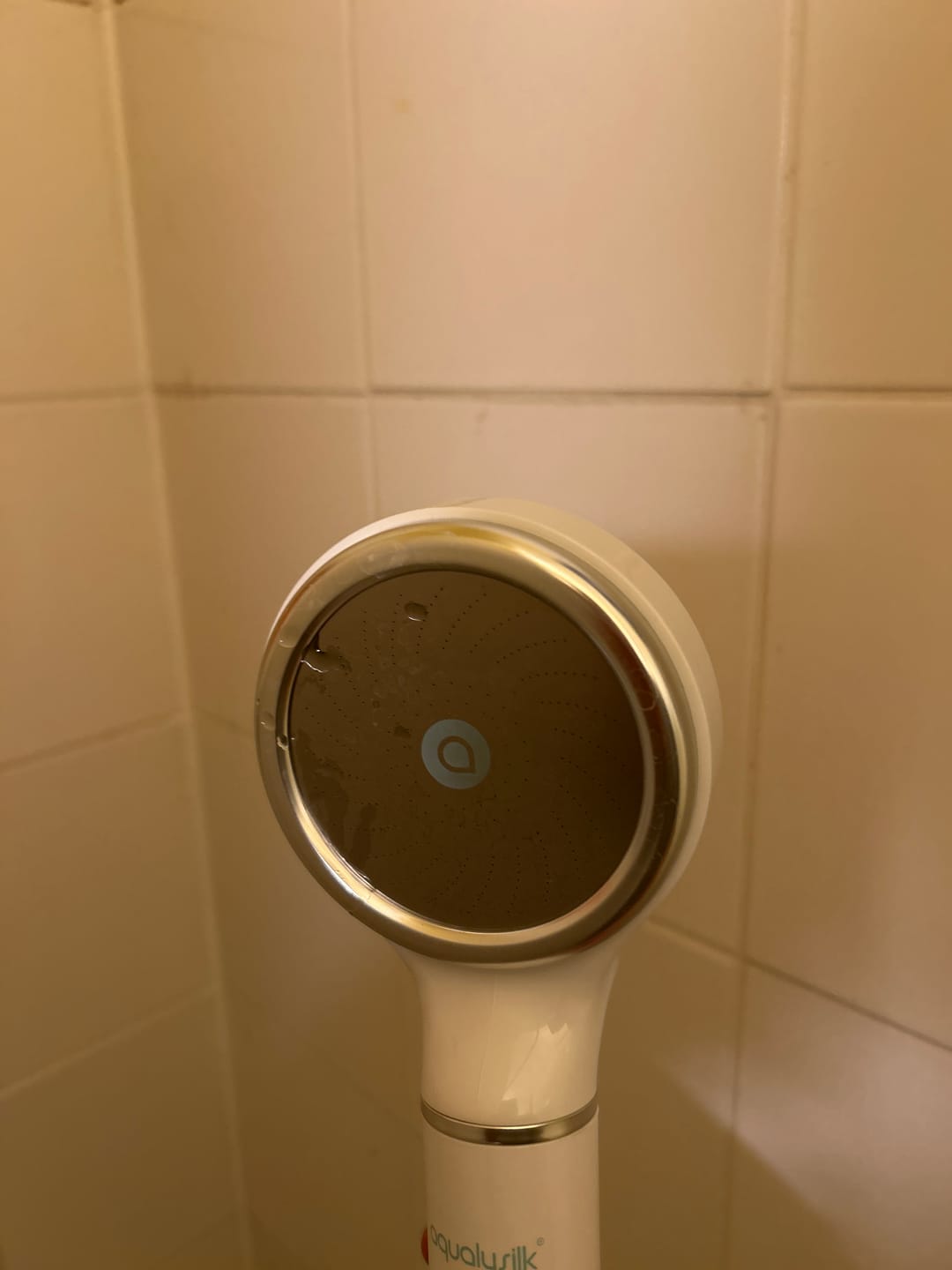Customer photo review of SHOWERSILK | Filtre de douche