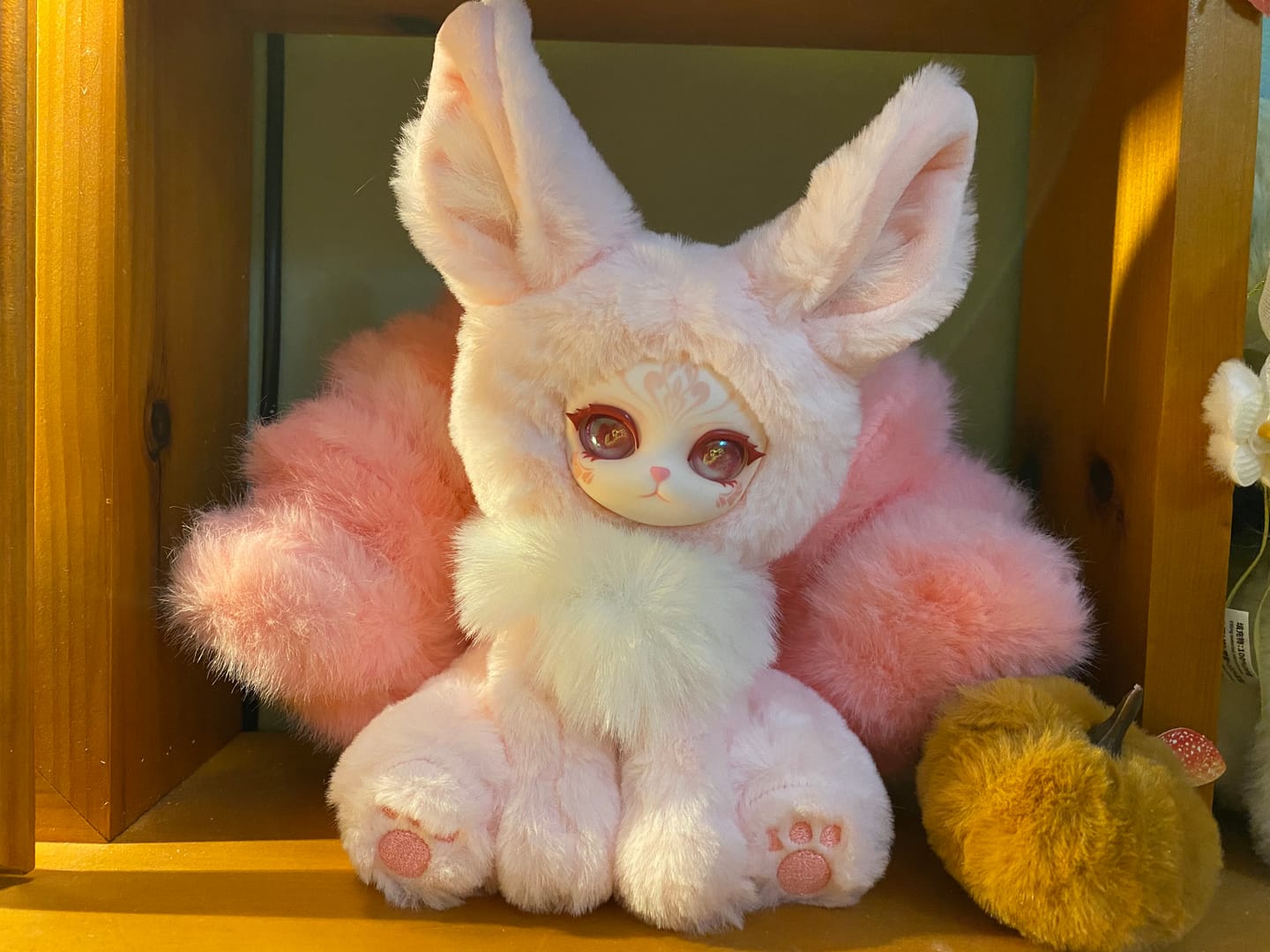 Customer photo review of Auspicious Nine Tails Records Series Plush Blind Box