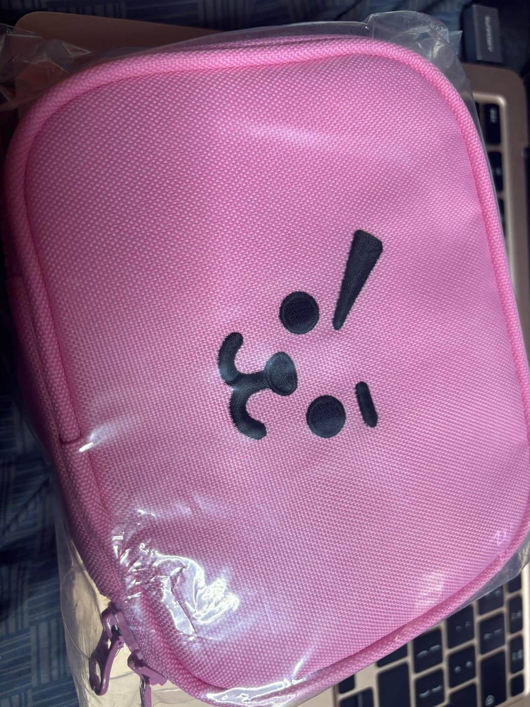 Customer photo review of BT21 - BASIC MULTI POUCH S
