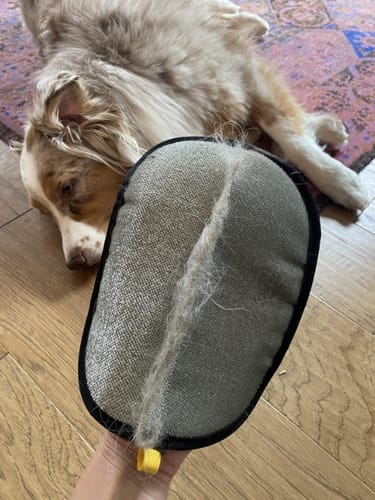 Customer photo review of Guante Cirezo™ – Elimina el pelo de tu mascota en segundos