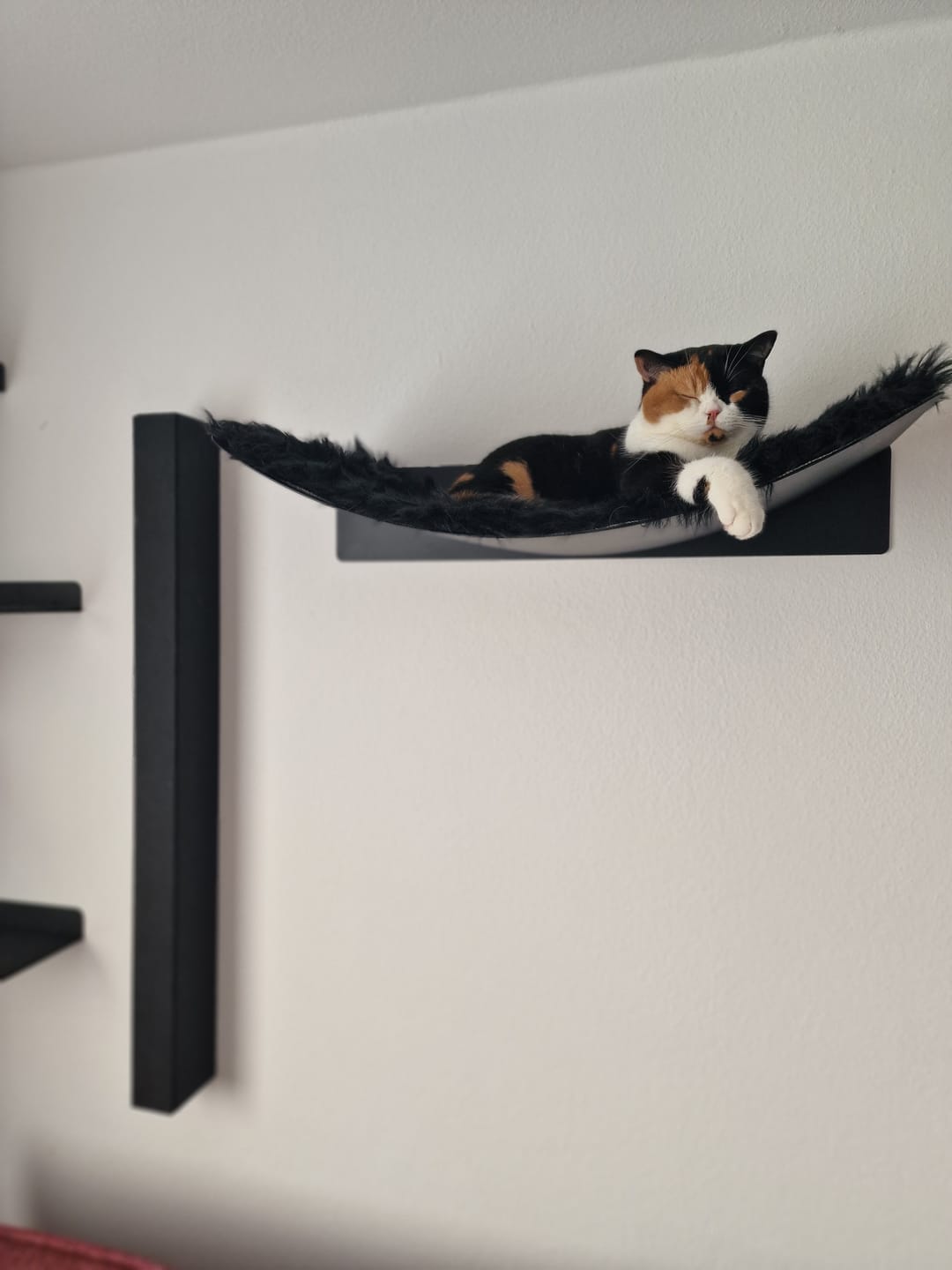 Customer photo review of STYA Katzen Kletterwand | Set Minimalist Hängematte XXL | Linie WL300