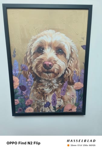 Customer photo review of Pet Portrait