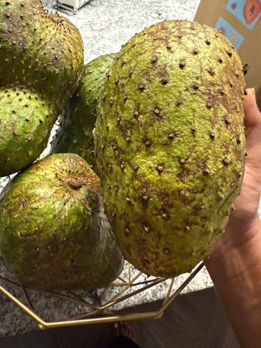 Customer holds a large, green Premium Soursop fruit, with several others in a gold wire basket.