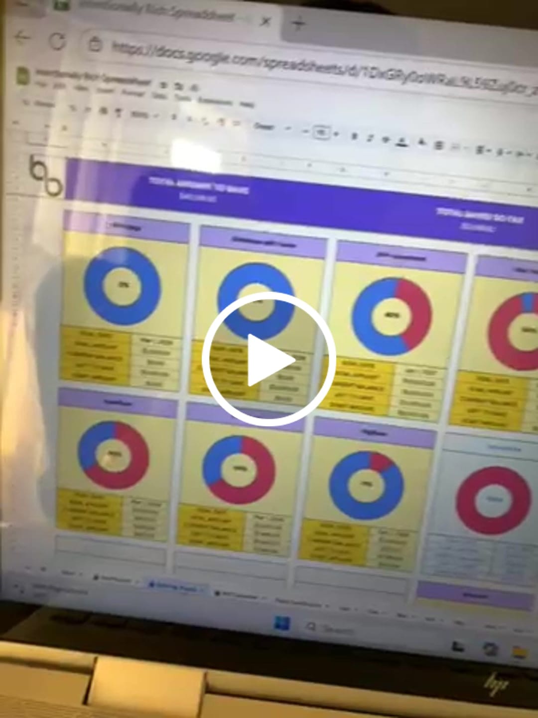 Customer video review of The Budget Spreadsheet