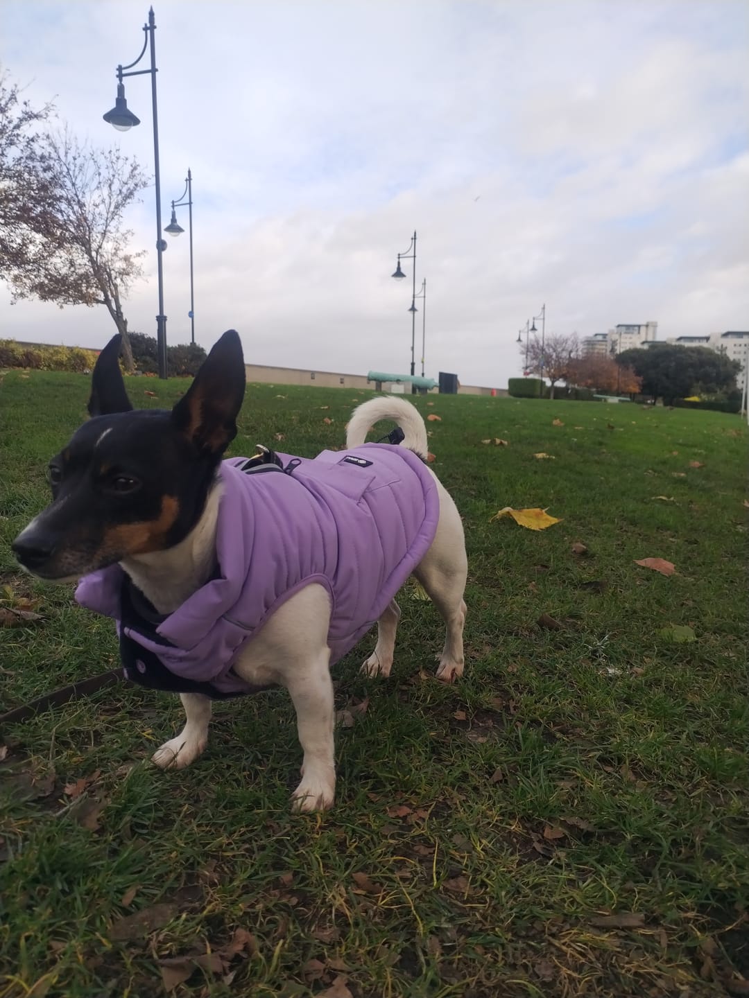 Customer photo review of WarmShield Water-Resistant Jacket - Lilac