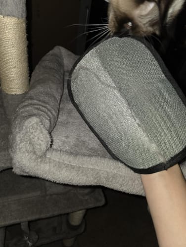 Customer photo review of Guante Cirezo™ – Elimina el pelo de tu mascota en segundos