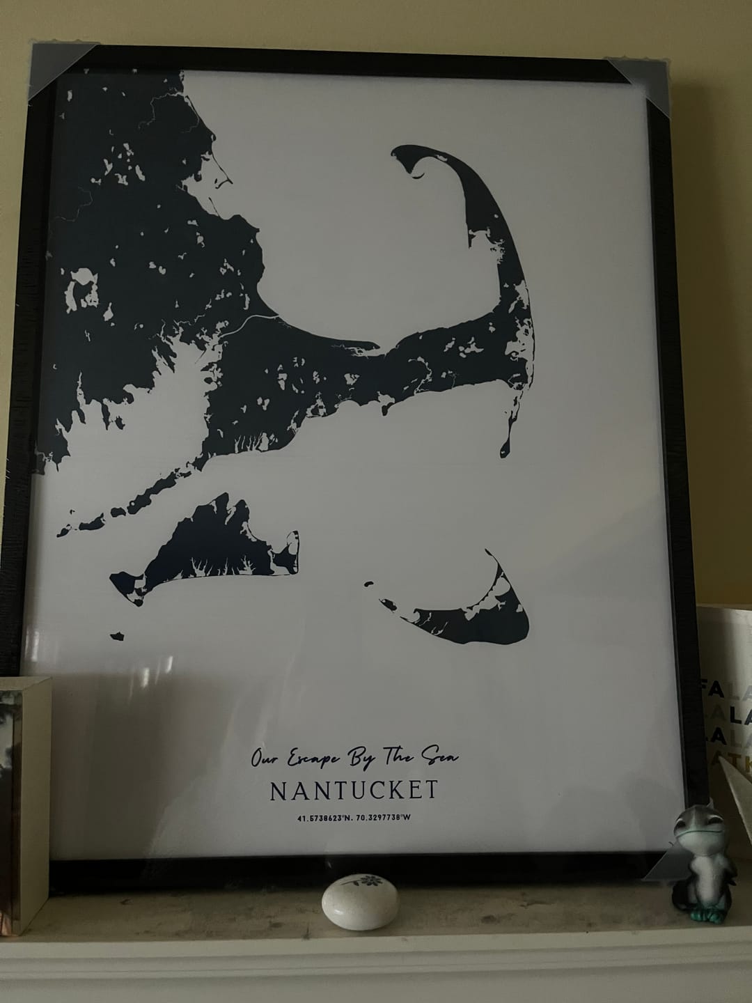 Customer photo review of Custom Coastal Map