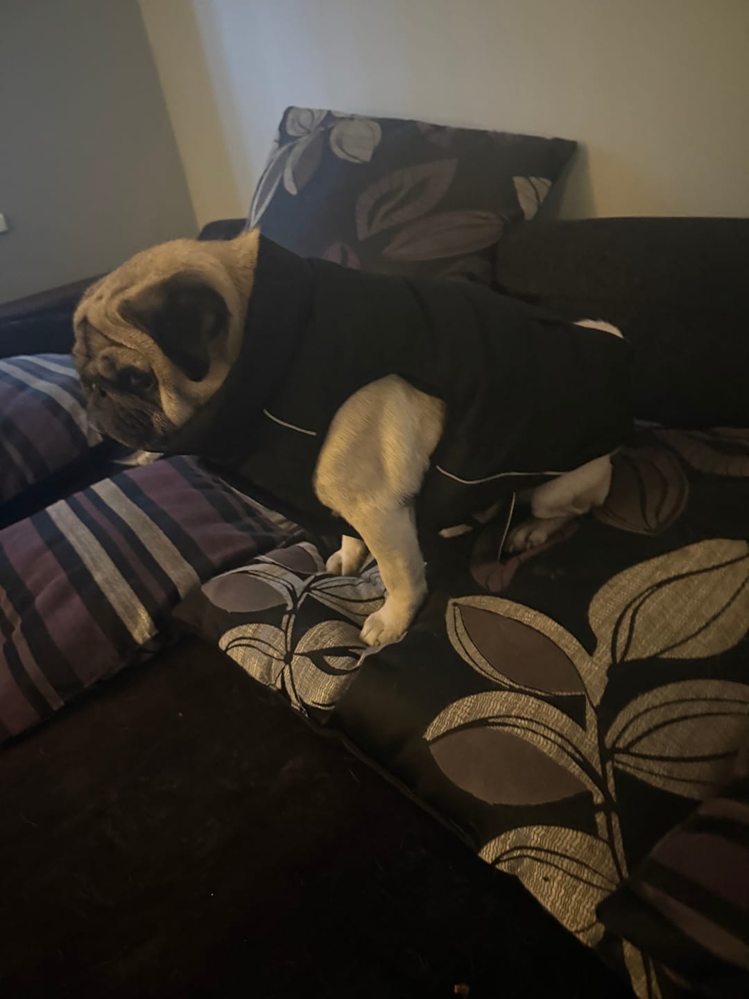 Customer photo review of WarmShield Water-Resistant Jacket - Black
