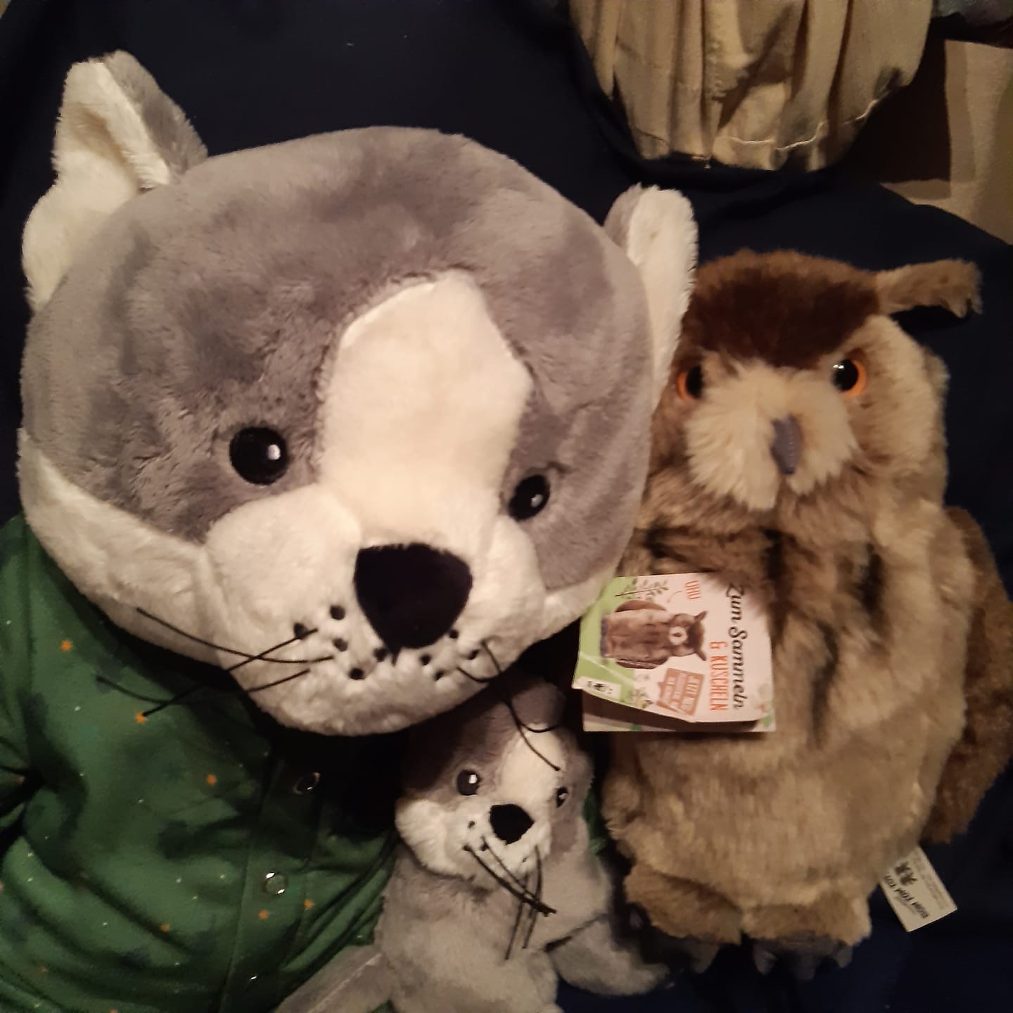 Customer photo review of Mini & Grote kat - Je bespaart €20