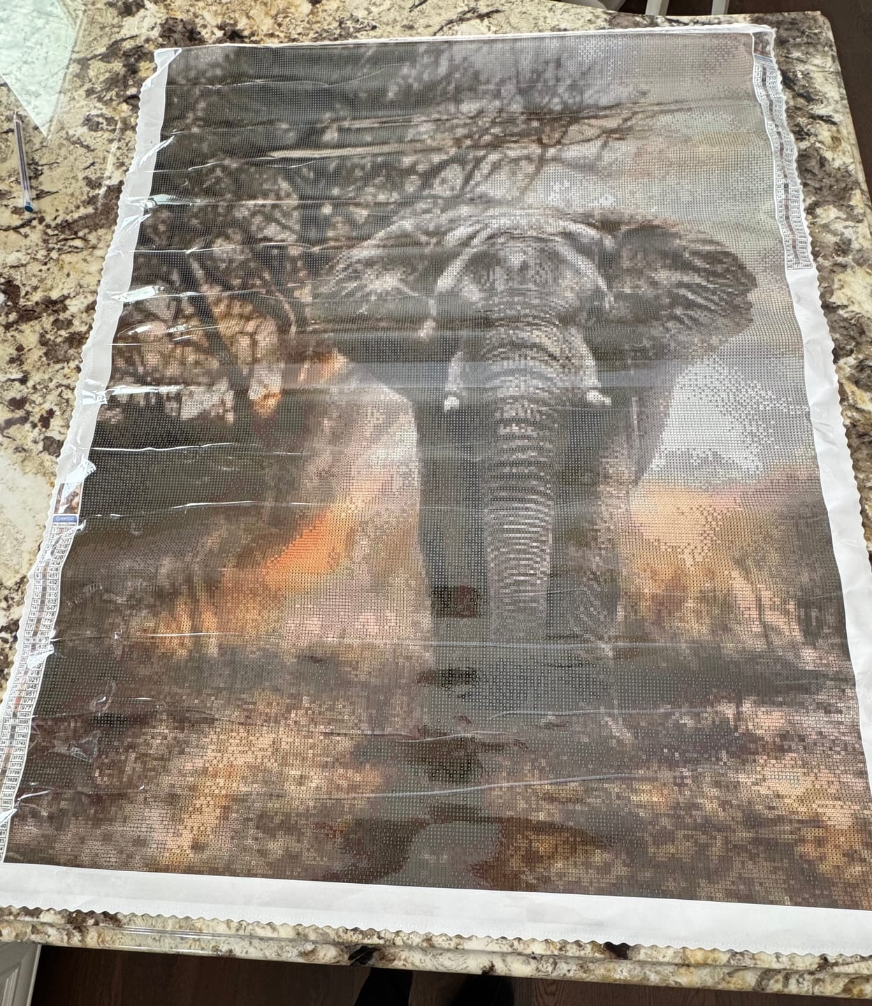Customer photo review of Elephant - Premium Diamond Painting Kit
