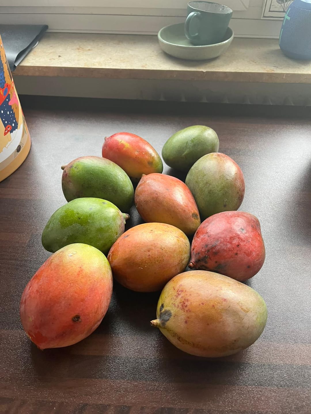 Customer photo review of Mini-Mango Keitt Bio Sonderpreis %