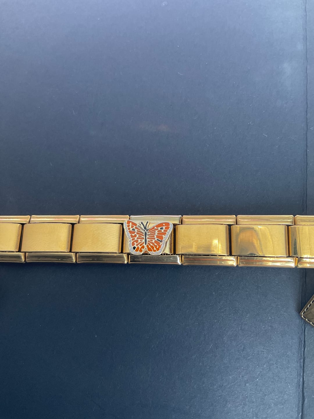 Customer photo review of Charm Mariposa