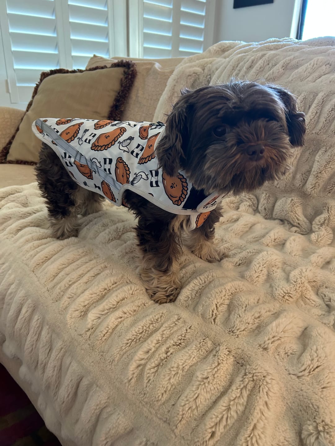 Customer photo review of Rain Jacket - Oggy Oggy Doggy