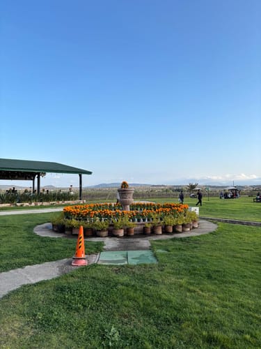 Customer photo review of (Picnic del Terror) Hallowine 2025