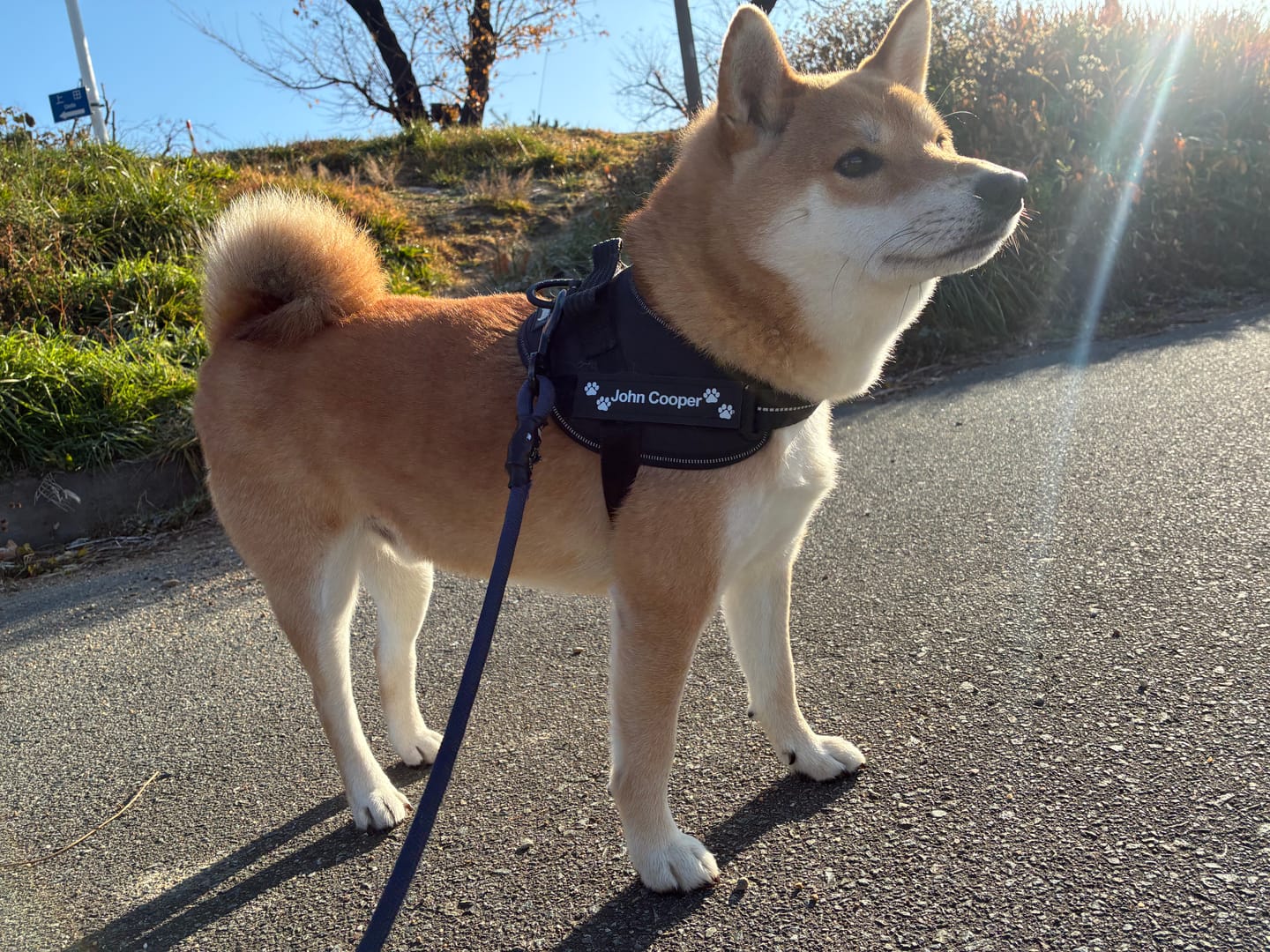 Customer photo review of ハーネス専用お名前タグ（２枚セット・マジックテープ式）