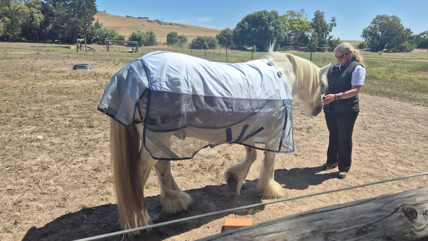 Customer photo review of LE Breeze Summer Sheet with Fieldsafe Front