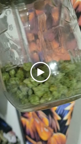Customer video review of Greenhouse Smalls