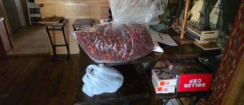 Customer photo review of Carolina Reaper Peppers