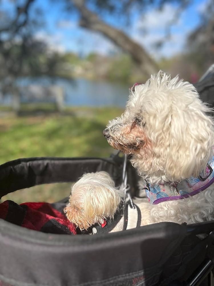 Customer photo review of Digestive Clay for Dogs and Cats